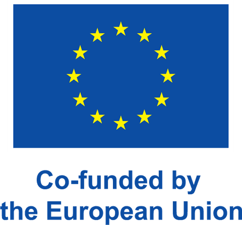 Cofinanziato dall’Unione europea